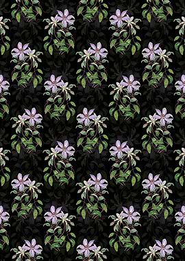 Violet Clematis Flower