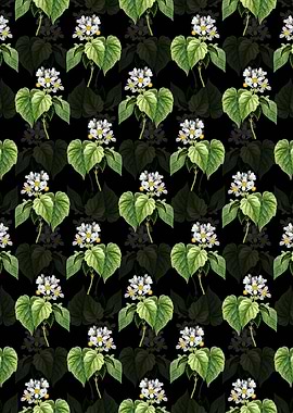 Black African Hemp Pattern