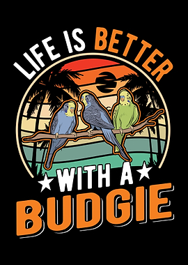 Budgie Gift Parakeet