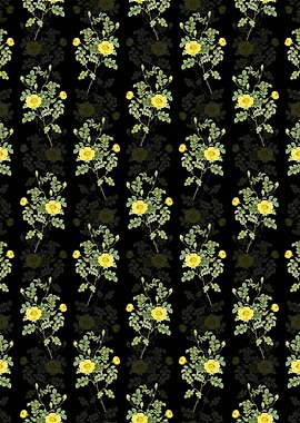 Yellow Sweetbriar Rose