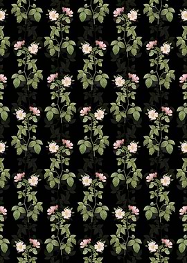 Red Bramble Leaved Rose