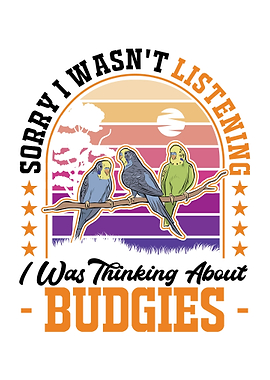 Budgie Gift Parakeet