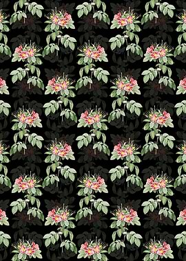 Black Pasture Rose Pattern