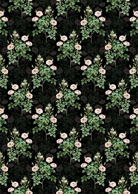 Rosier Pompon Pattern