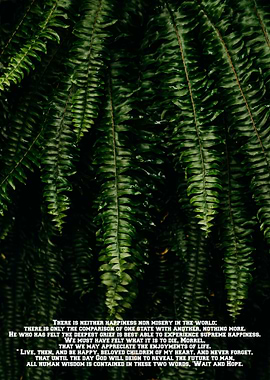 There is neither happiness