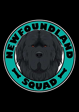 Newfoundland Squad I Dog