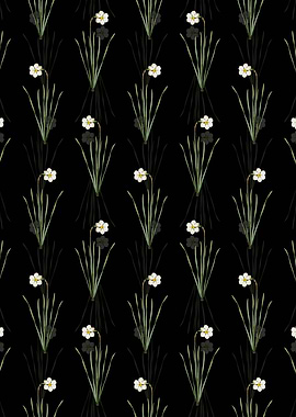 Narcissus Poeticus Pattern
