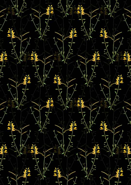 Spanish Broom Pattern