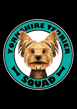 Yorkshire Terrier Squad I