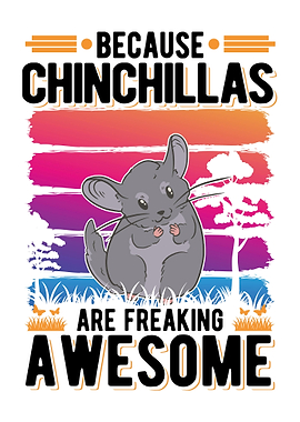 Chinchilla Lover