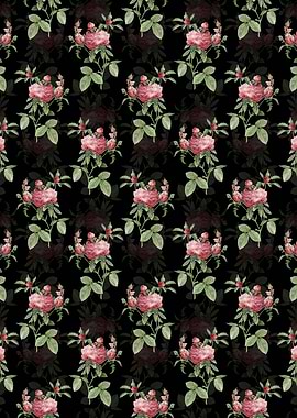 Black Cabbage Rose Pattern