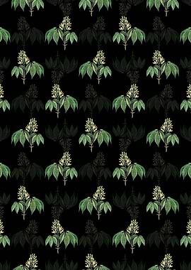 Yellow Buckeye Pattern