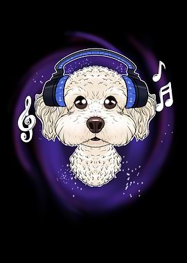Music Lover I Bichon Frise