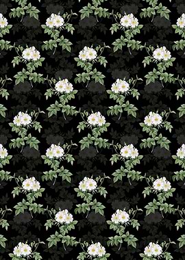 White Rosebush Pattern