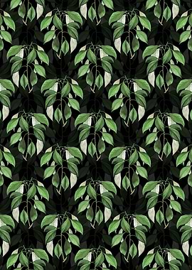 Black Camphor Tree Pattern