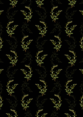 Andromeda Marginata Bloom