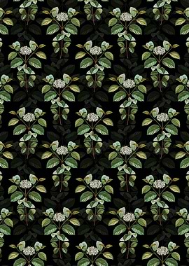 Common Dogwood Pattern