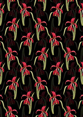 Floral Amaryllis Pattern
