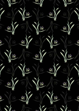 Clamshell Orchid Pattern