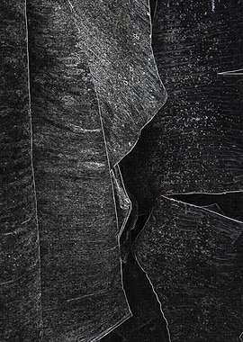 Banana Leaves Poster