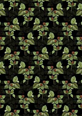 Carolina Allspice Flower