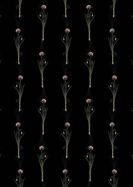 Black Autumn Onion Pattern