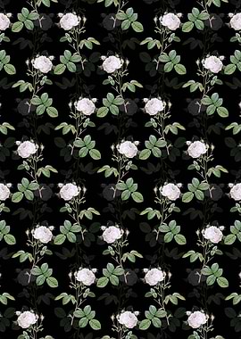 Black White Provence Rose