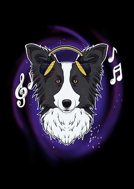 Music Border Collie