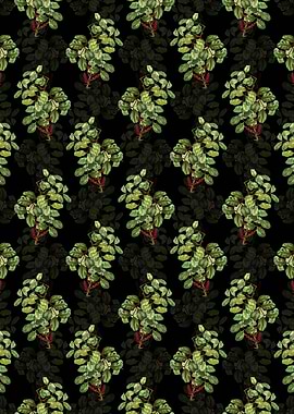 Floral Carob Tree Pattern