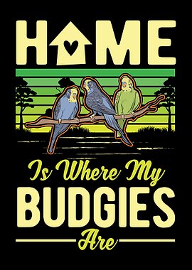 Budgie Gift Parakeet