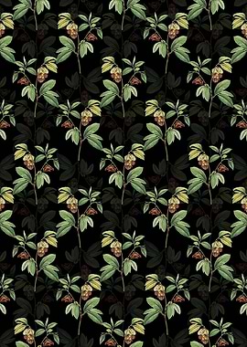 Papaw Tree Branch Pattern