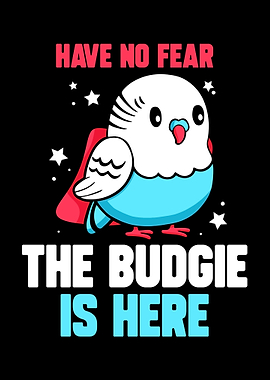 Budgie Budgeriga