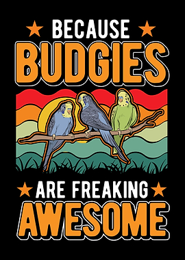 Budgie Gift Parakeet