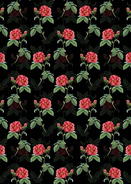 Apothecary Rose Pattern