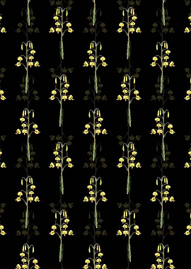 Lilium Pyrenaicum Pattern