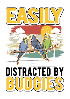 Budgie Gift Parakeet