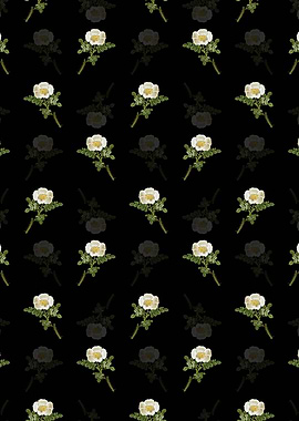 Floral Burnet Rose Pattern
