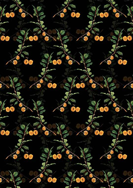 Floral Apricot Pattern