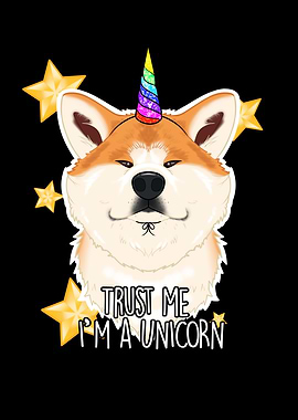 Unicorn Akita Inu