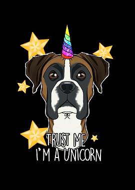 Boxer Unicorn