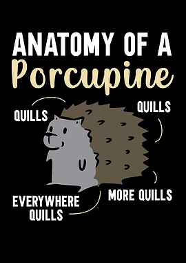 Anatomy Of A Porcupine