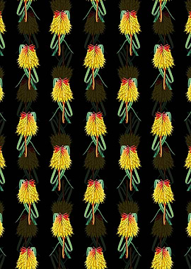 Burchells Tritoma Pattern