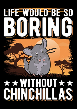 Chinchilla Lover