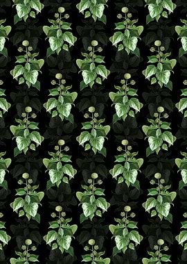Floral Common Ivy Pattern