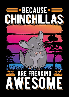 Chinchilla Lover