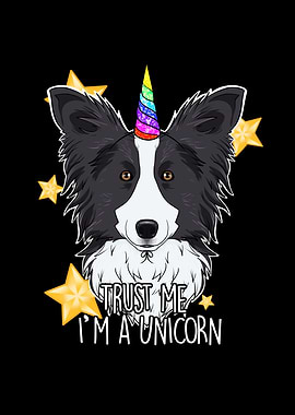 Border Collie Unicorn