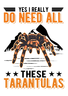 Tarantula Spider
