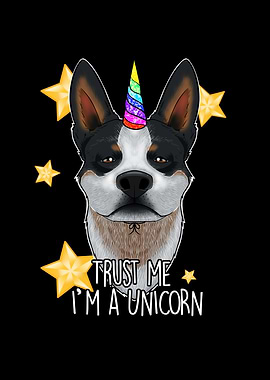 Australian Cattle Dog