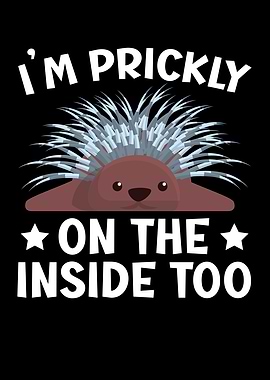 Prickly On The Inside Too