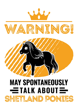 Shetland Pony Shetty